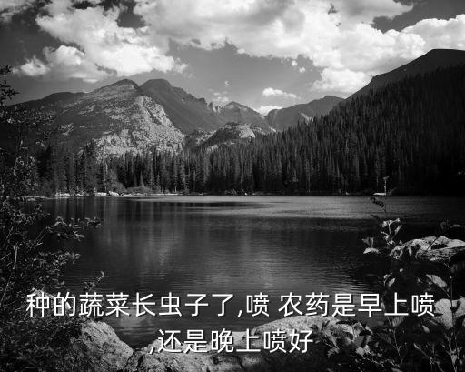 種的蔬菜長蟲子了,噴 農藥是早上噴,還是晚上噴好