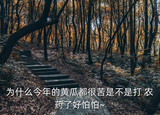 為什么今年的黃瓜都很苦是不是打 農藥了好怕怕~