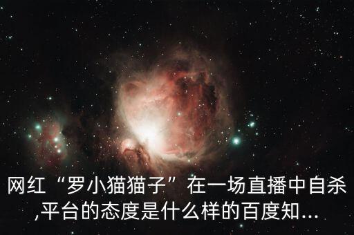 網紅“羅小貓貓子”在一場直播中自殺,平臺的態度是什么樣的百度知...