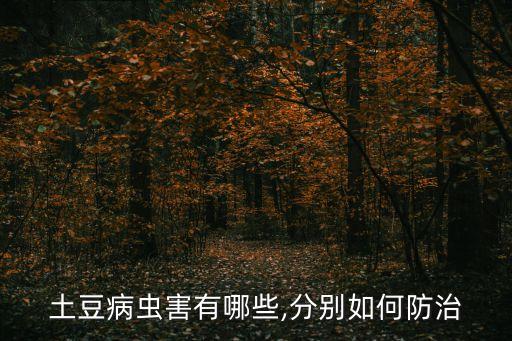 馬鈴薯軟腐病用什么農(nóng)藥,干腐病用什么農(nóng)藥