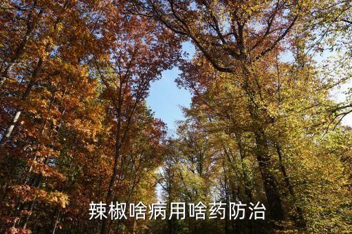 辣椒用什么農藥,辣椒什么農藥易出現藥害