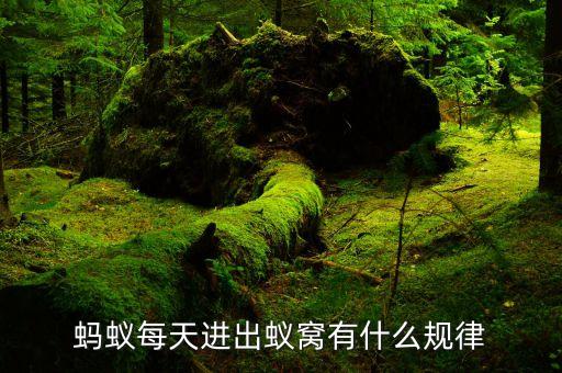 蟻威是什么農藥,666粉是什么農藥