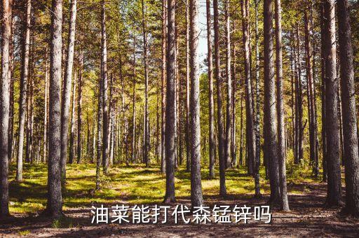 油菜適合什么農藥,冬季油菜打什么農藥好