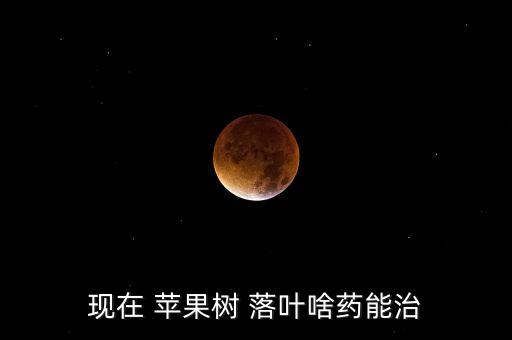 現在 蘋果樹 落葉啥藥能治