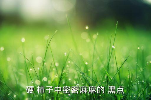 硬 柿子中密密麻麻的 黑點