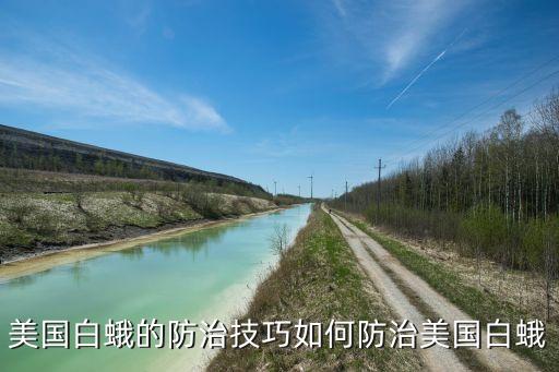 美國白蛾的防治技巧如何防治美國白蛾