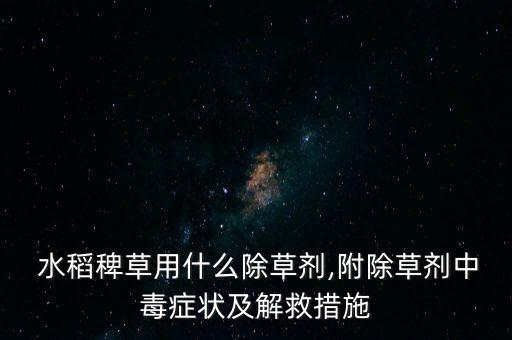  水稻稗草用什么除草劑,附除草劑中毒癥狀及解救措施