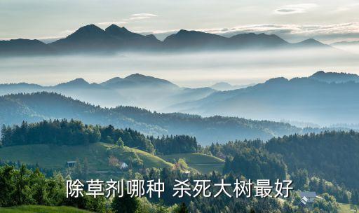 除草劑哪種 殺死大樹最好