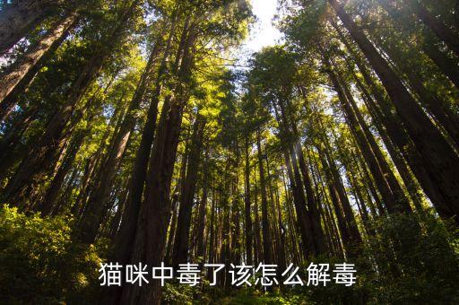 農藥樂果貓吃上什么癥狀