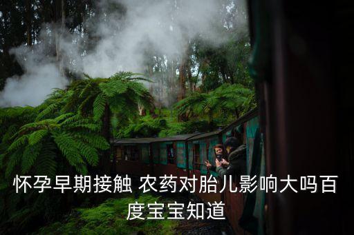 懷孕早期接觸 農藥對胎兒影響大嗎百度寶寶知道