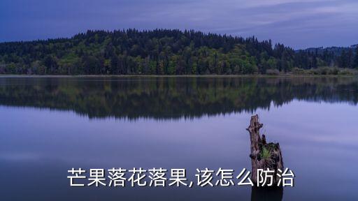 芒果常用什么農藥消毒最好