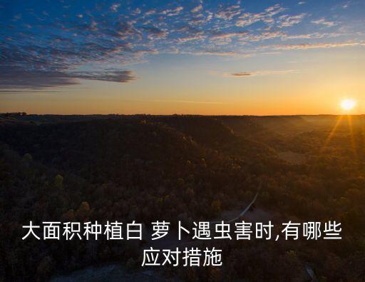 種蘿卜放什么農藥防蟲害,白菜蘿卜用什么農藥