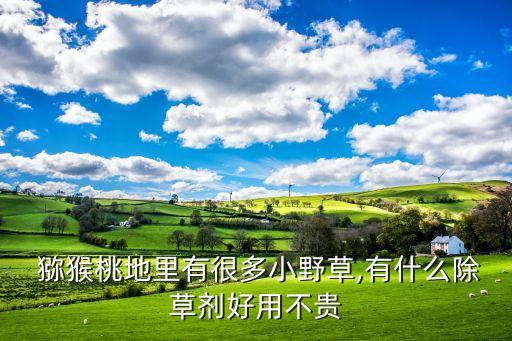 獼猴桃都用什么進口農藥,進口的獼猴桃叫什么名字