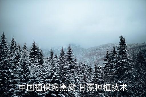 黑甘蔗用什么農(nóng)藥防治的,甘蔗打什么農(nóng)藥長(zhǎng)得快