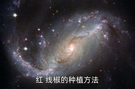 紅 線椒的種植方法