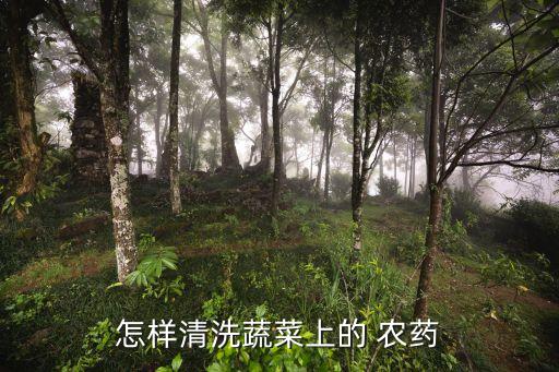 怎樣清洗蔬菜上的 農(nóng)藥