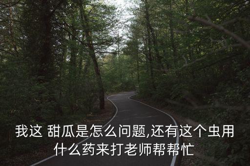我這 甜瓜是怎么問題,還有這個蟲用什么藥來打老師幫幫忙