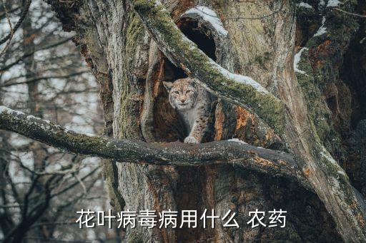 福滿美農藥治什么