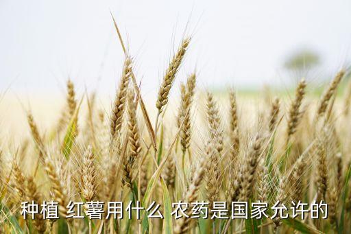 種植 紅薯用什么 農(nóng)藥是國(guó)家允許的