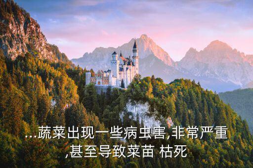 菜葉枯死要用什么農藥嗎