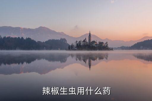  辣椒生蟲用什么藥