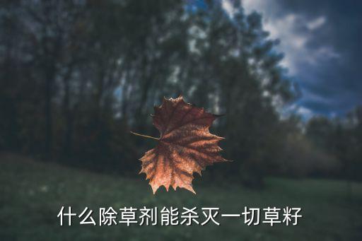 什么除草劑能殺滅一切草籽