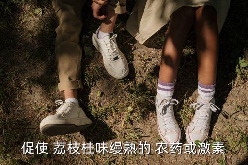 促使 荔枝桂味縵熟的 農藥或激素
