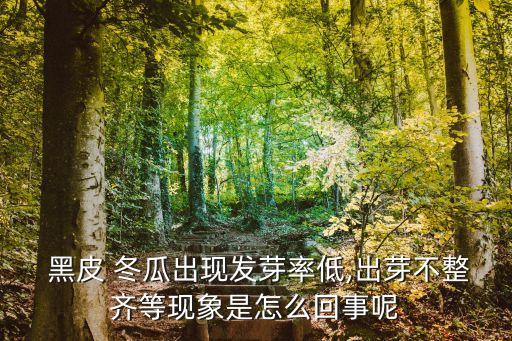  黑皮 冬瓜出現(xiàn)發(fā)芽率低,出芽不整齊等現(xiàn)象是怎么回事呢