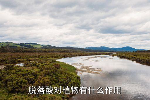 棉桃裂口用什么農(nóng)藥
