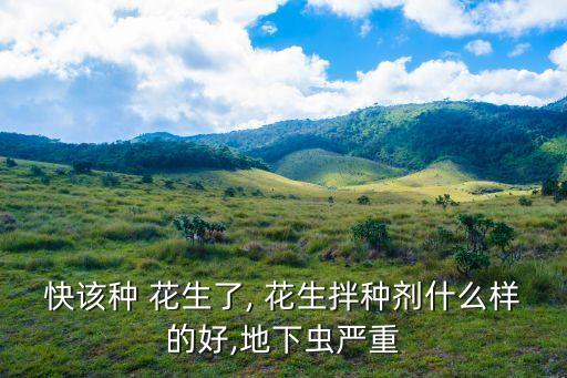 快該種 花生了, 花生拌種劑什么樣的好,地下蟲嚴重