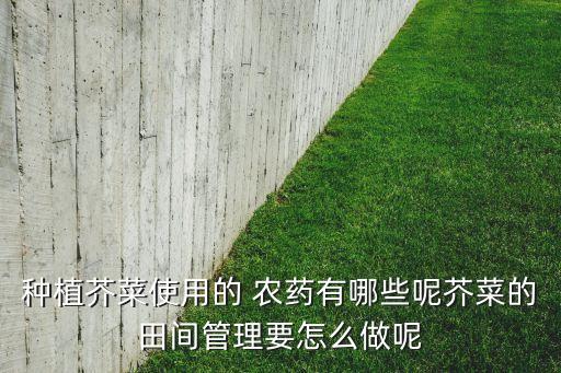 種植芥菜使用的 農藥有哪些呢芥菜的田間管理要怎么做呢