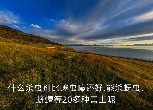 最好用什么農藥殺蟲子,葉片上的蟲子用什么農藥