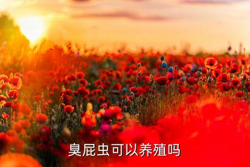 臭屁蟲可以養(yǎng)殖嗎