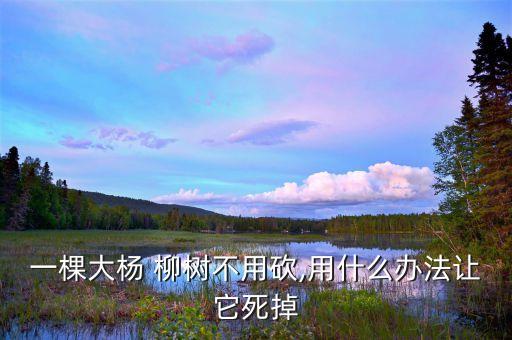 一棵大楊 柳樹不用砍,用什么辦法讓它死掉