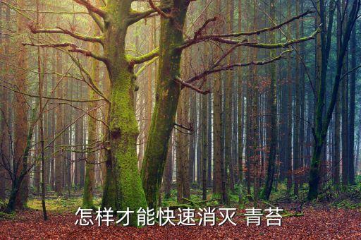 農村用什么農藥殺青苔,什么農藥可以殺死青苔