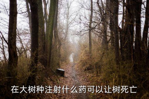 在大樹種注射什么藥可以讓樹死亡