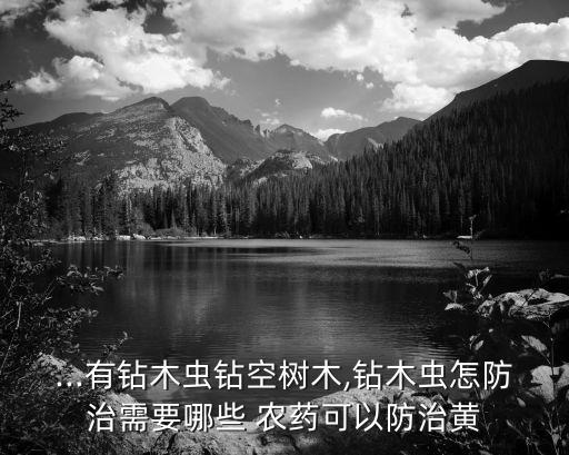 桔子黃龍病用什么農(nóng)藥,桔子結(jié)果了要打什么農(nóng)藥