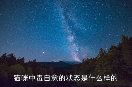 貓咪中毒自愈的狀態是什么樣的
