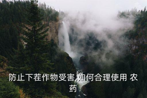 防止下茬作物受害,如何合理使用 農藥