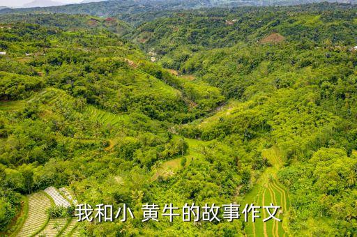 黃牛用什么農藥最好,黃牛什么地方肉最好吃