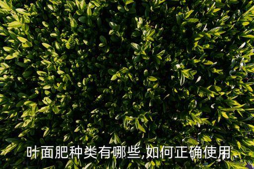 葉面肥是什么農藥