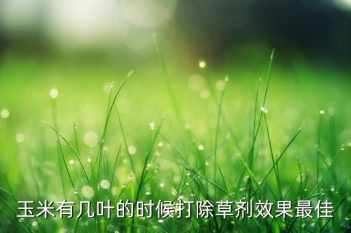玉米有幾葉的時候打除草劑效果最佳
