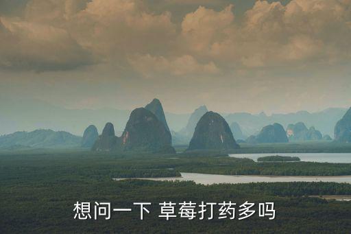 想問一下 草莓打藥多嗎