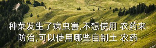 種菜發生了病蟲害,不想使用 農藥來防治,可以使用哪些自制土 農藥