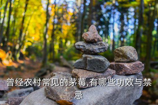 殺死茅梅的農藥是什么