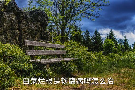 白菜根瘸病什么農(nóng)藥,吃白菜根有什么好處