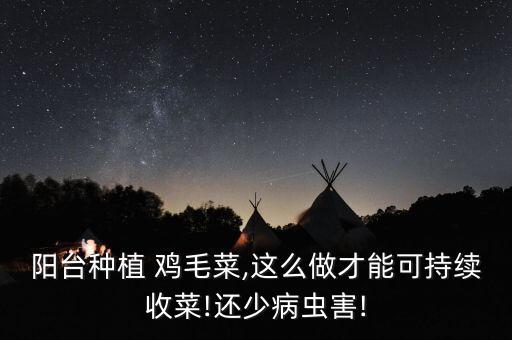 陽臺種植 雞毛菜,這么做才能可持續收菜!還少病蟲害!