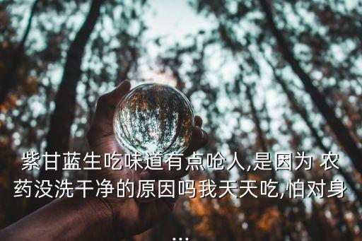 紫甘藍(lán)生吃味道有點(diǎn)嗆人,是因?yàn)?農(nóng)藥沒(méi)洗干凈的原因嗎我天天吃,怕對(duì)身...