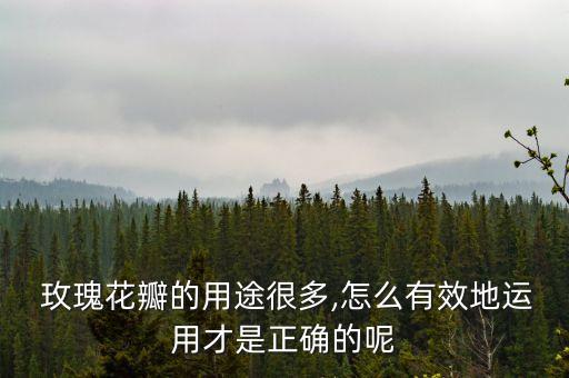  玫瑰花瓣的用途很多,怎么有效地運用才是正確的呢