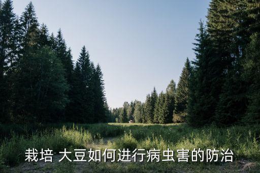 大豆苗防蟲打什么農藥,大豆防蟲用什么藥好